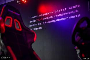 家族爆炸爆料视频大全最新,揭秘豪门恩怨与惊人真相